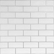 Панель стінова 3D NEW CULTURAL WALL 70*70cm*5mm WHITE+SILVER (D) SW-00001502